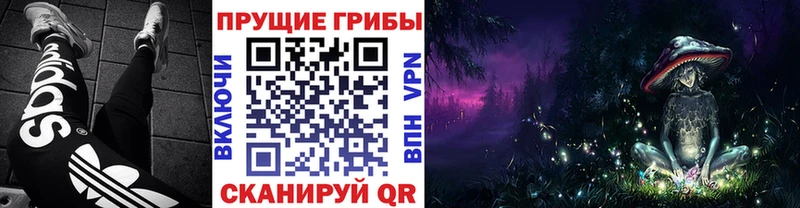 Галлюциногенные грибы Psilocybine cubensis  Купить закладки  Харовск 